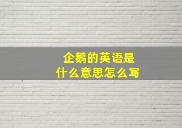 企鹅的英语是什么意思怎么写