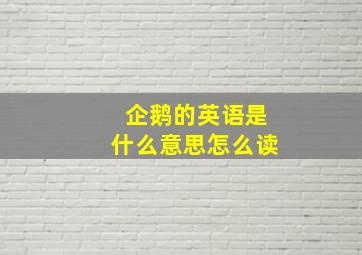 企鹅的英语是什么意思怎么读