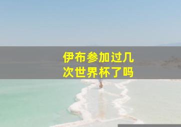 伊布参加过几次世界杯了吗