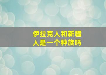 伊拉克人和新疆人是一个种族吗