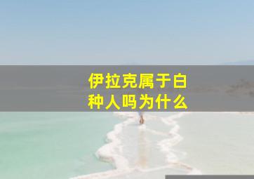 伊拉克属于白种人吗为什么