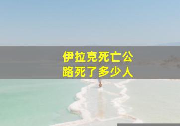 伊拉克死亡公路死了多少人