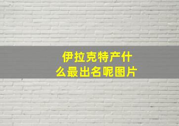 伊拉克特产什么最出名呢图片