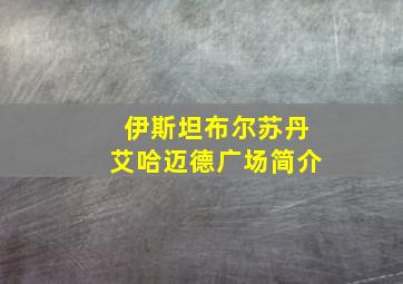 伊斯坦布尔苏丹艾哈迈德广场简介