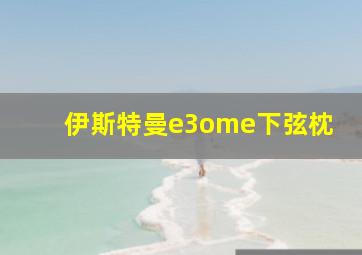 伊斯特曼e3ome下弦枕