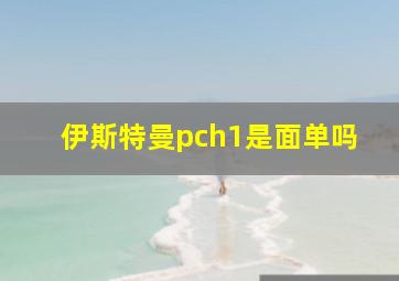 伊斯特曼pch1是面单吗