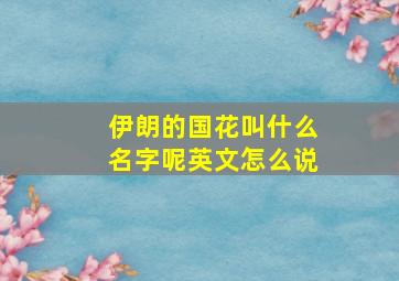 伊朗的国花叫什么名字呢英文怎么说