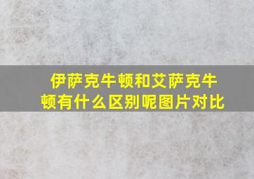 伊萨克牛顿和艾萨克牛顿有什么区别呢图片对比