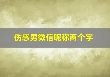 伤感男微信昵称两个字