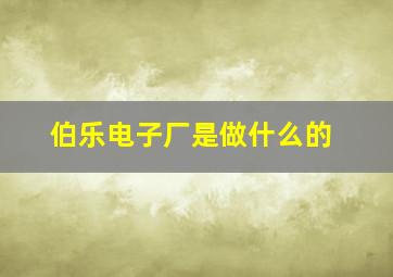 伯乐电子厂是做什么的