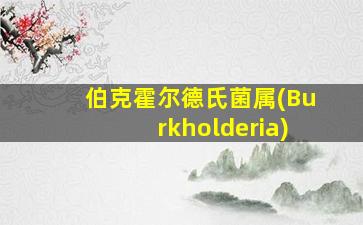 伯克霍尔德氏菌属(Burkholderia)