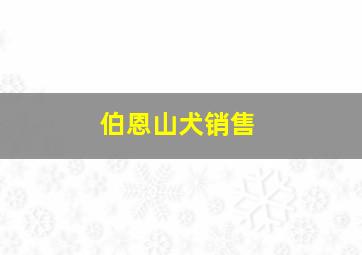 伯恩山犬销售