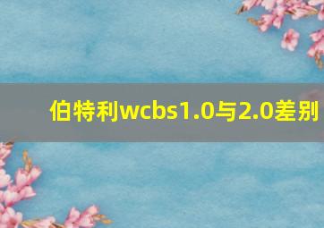 伯特利wcbs1.0与2.0差别