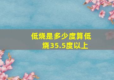 低烧是多少度算低烧35.5度以上