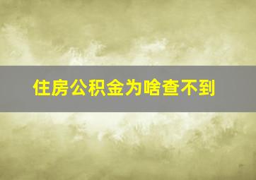 住房公积金为啥查不到