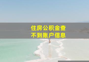 住房公积金查不到账户信息