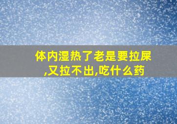 体内湿热了老是要拉屎,又拉不出,吃什么药