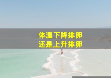 体温下降排卵还是上升排卵