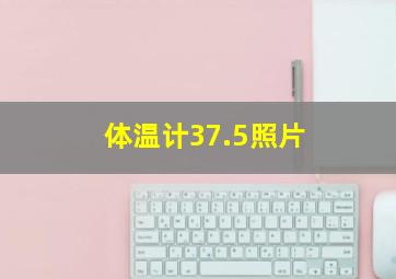 体温计37.5照片