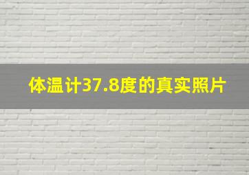 体温计37.8度的真实照片