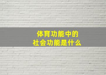 体育功能中的社会功能是什么