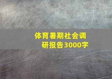 体育暑期社会调研报告3000字