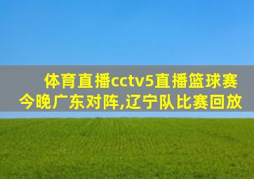 体育直播cctv5直播篮球赛今晚广东对阵,辽宁队比赛回放