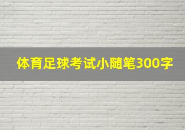 体育足球考试小随笔300字