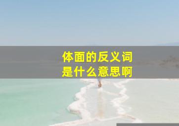 体面的反义词是什么意思啊