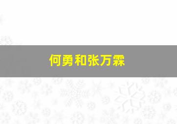 何勇和张万霖