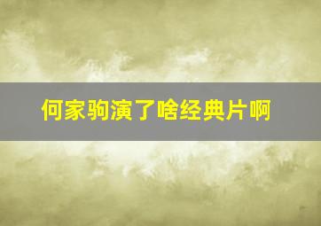 何家驹演了啥经典片啊