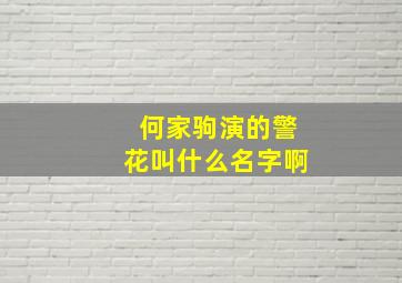 何家驹演的警花叫什么名字啊