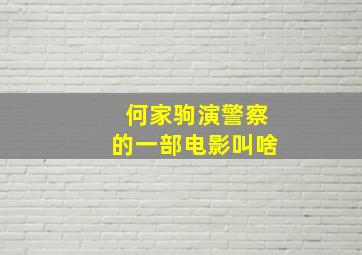 何家驹演警察的一部电影叫啥