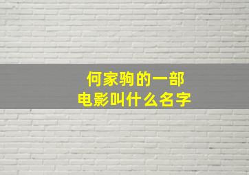 何家驹的一部电影叫什么名字