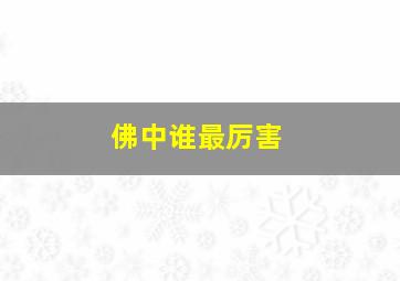 佛中谁最厉害