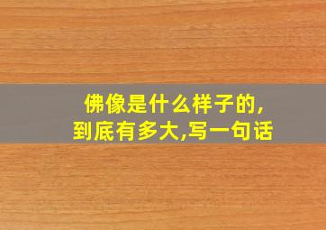 佛像是什么样子的,到底有多大,写一句话