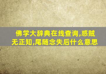 佛学大辞典在线查询,惑贼无正知,尾随念失后什么意思