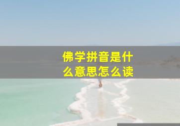 佛学拼音是什么意思怎么读