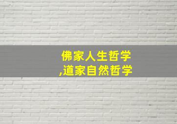 佛家人生哲学,道家自然哲学