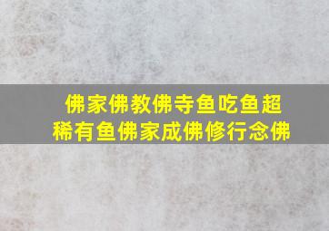 佛家佛教佛寺鱼吃鱼超稀有鱼佛家成佛修行念佛