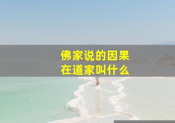 佛家说的因果在道家叫什么