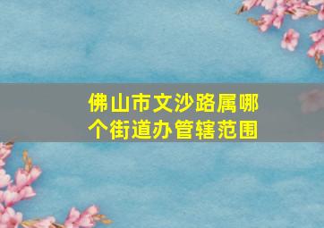 佛山市文沙路属哪个街道办管辖范围