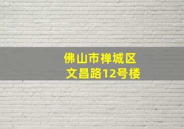 佛山市禅城区文昌路12号楼