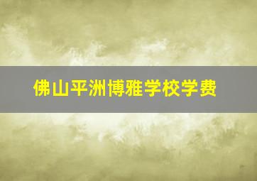 佛山平洲博雅学校学费