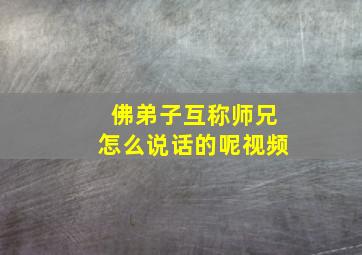 佛弟子互称师兄怎么说话的呢视频