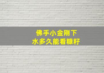 佛手小金刚下水多久能看糠籽