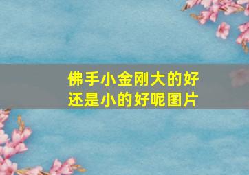 佛手小金刚大的好还是小的好呢图片