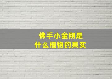 佛手小金刚是什么植物的果实