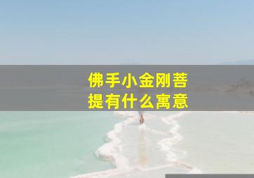 佛手小金刚菩提有什么寓意