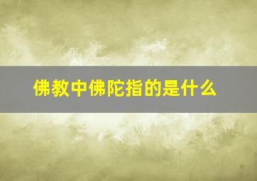 佛教中佛陀指的是什么